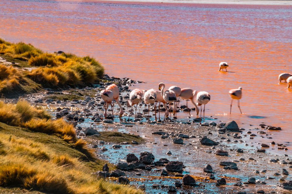 Salar de Uyuni Bolivia