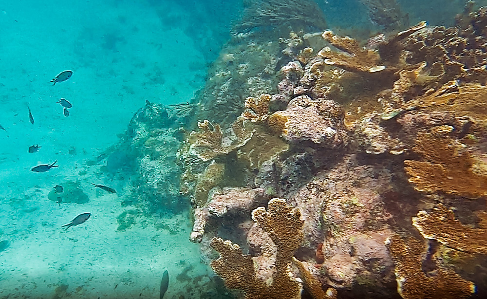 Capture 4.2 1 klein - De stranden van Curaçao die je niet mag overslaan