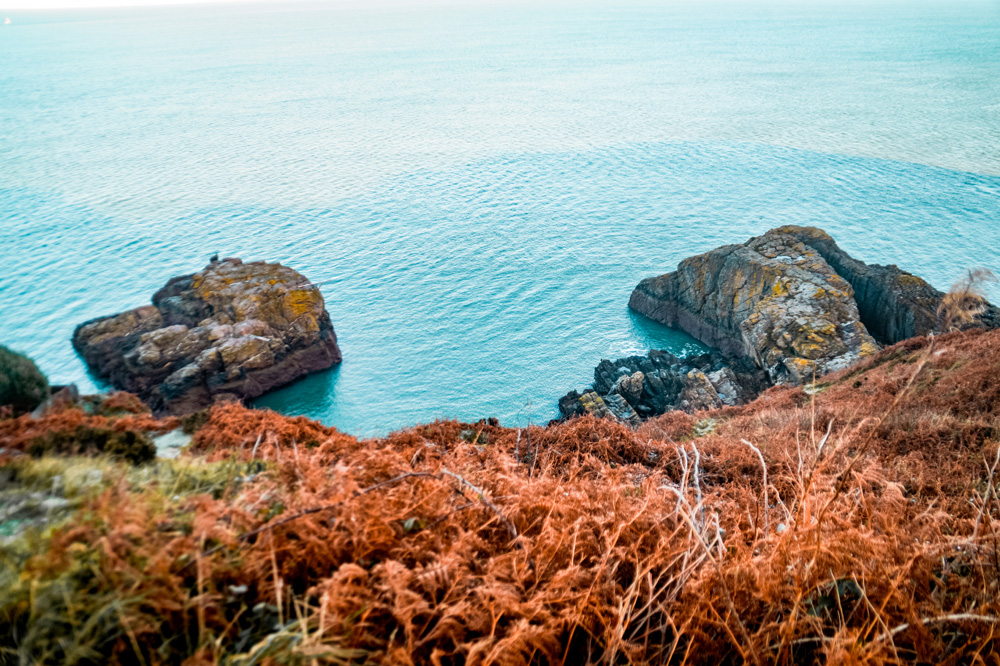 Wandelen op de kliffen Ierland Howth