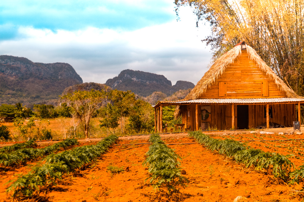 Vinales Cuba