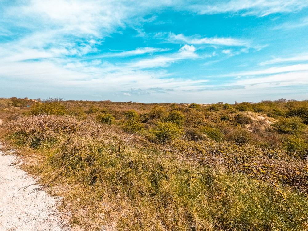 Bezienswaardigheden Zeeland Oranjezon