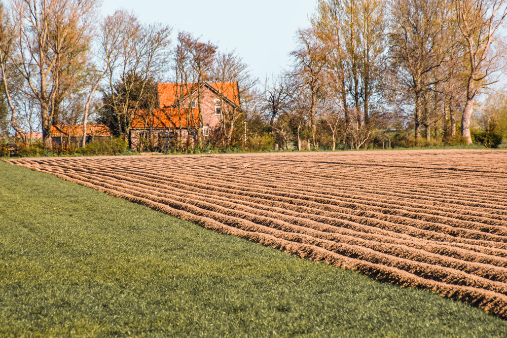 Slapen vakantie huis boer bastiaan zeeland