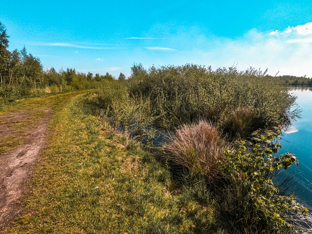 Wandelen Helenaveen klein 2 - Wandelroute Limburg: door de Mariapeel bij Helenaveen