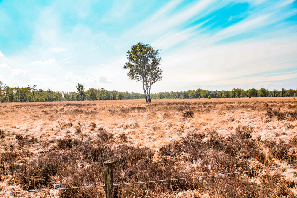 Wandelroute Mariapeel Helenaveen