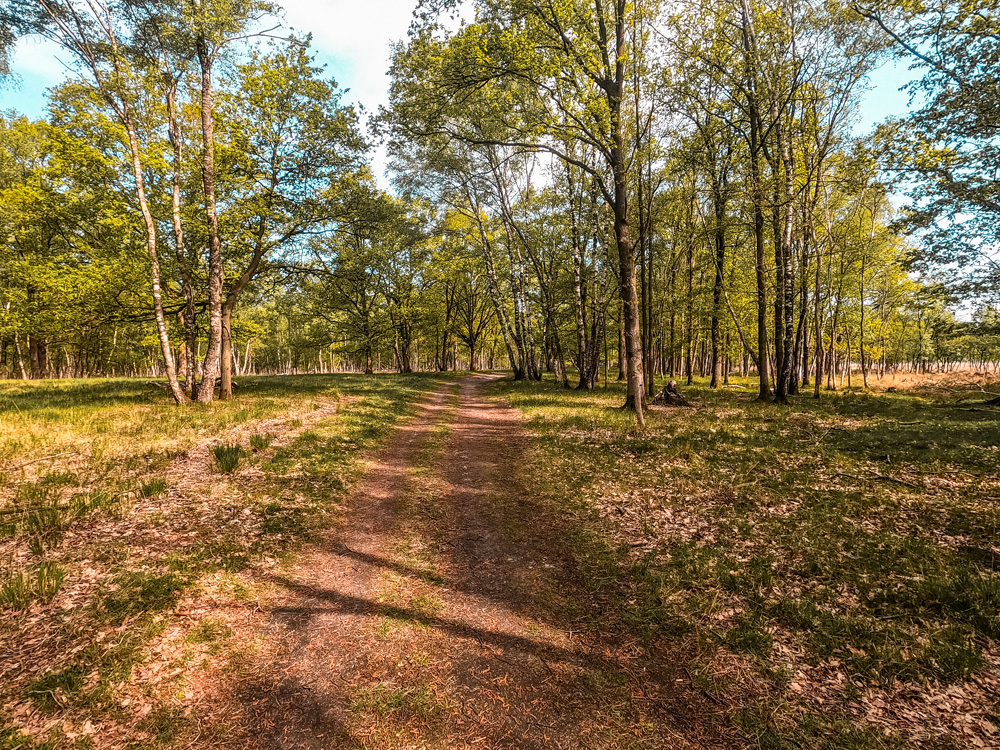 Wandelroute Mariapeel Helenaveen