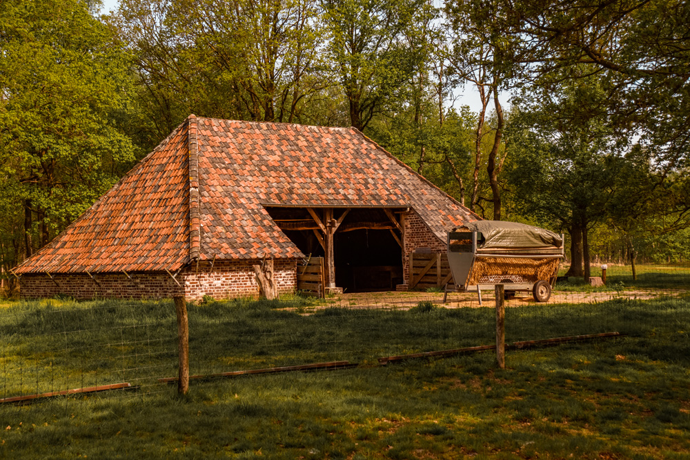 Wandelroute Mariapeel klein 1 - Wandelroute Limburg: door de Mariapeel bij Helenaveen