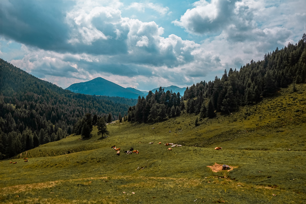 Alpen oostenrijk klein - Dit zijn de leukste bestemmingen in Oostenrijk