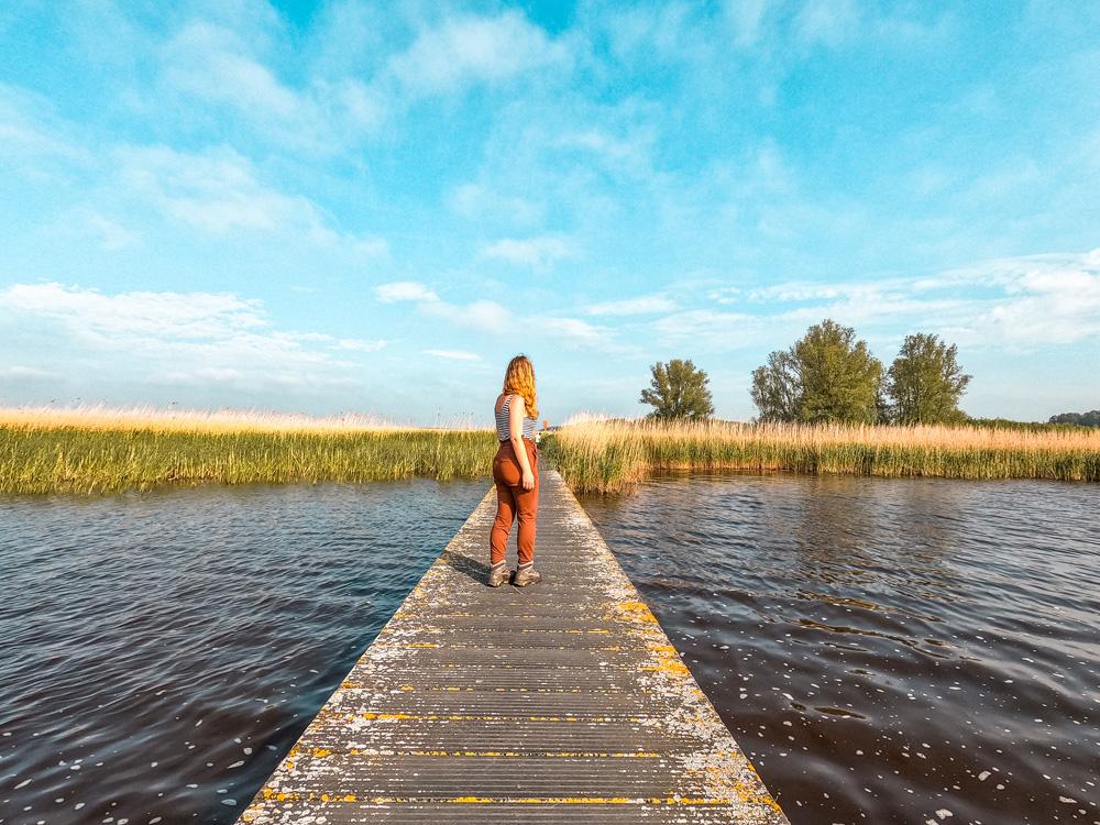 NP lauwersmeer friesland 4 - De leukste dingen om te doen in Friesland