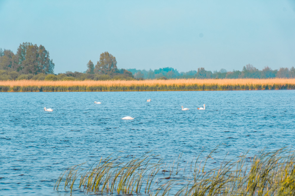 Lauwersmeer Friesland