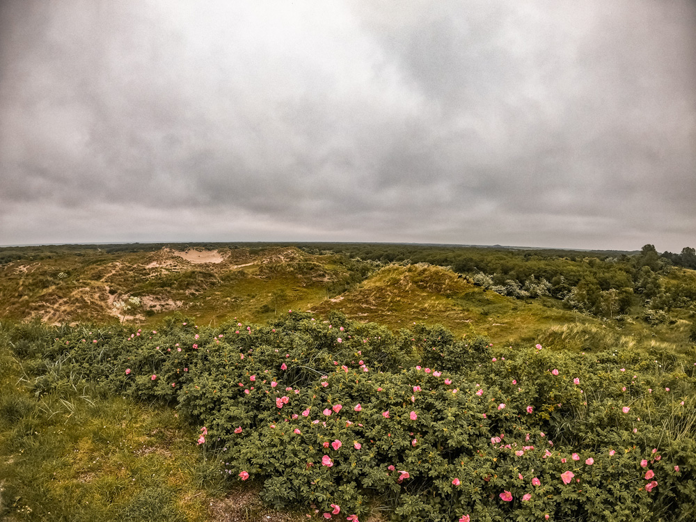 Schiermonnikoog Friesland bezienswaardigheden