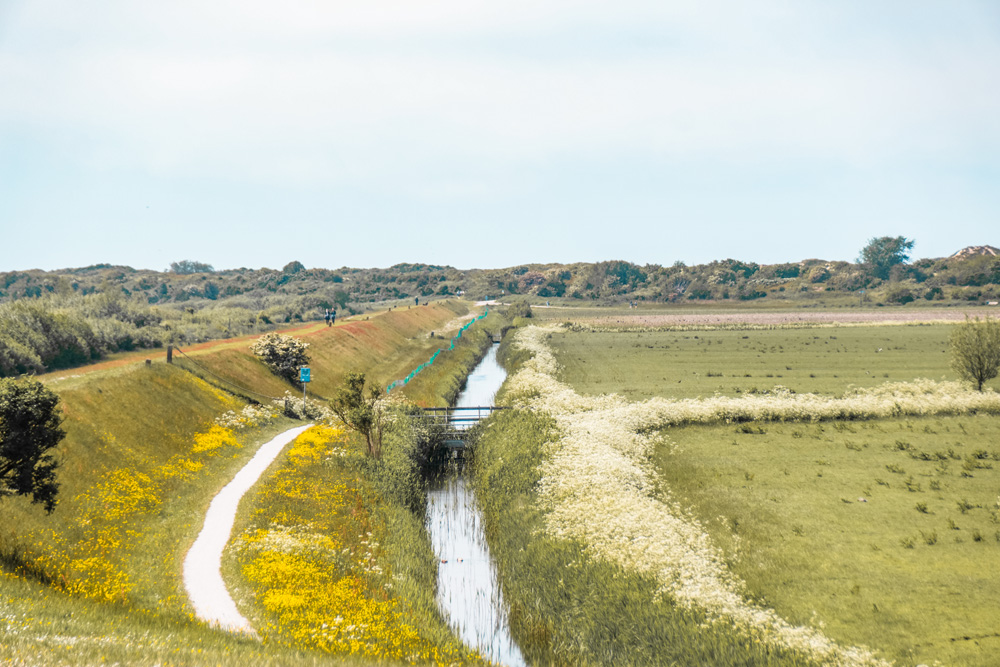 Schiermonnikoog Friesland bezienswaardigheden