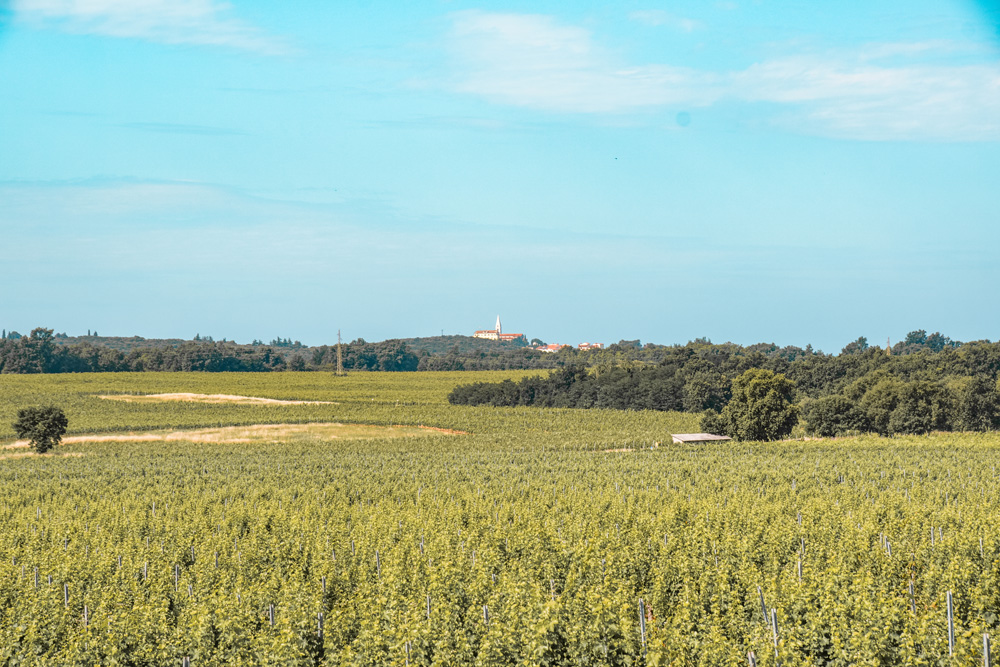 Wijngaarden Kroatie - Kroatië: het land van leuke vissersdorpjes en prachtige watervallen