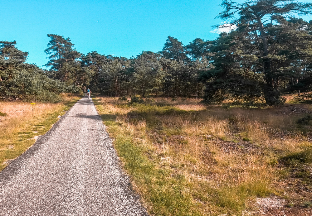 Nationaal Park de Hoge veluwe 2 - Nationaal Park De Hoge Veluwe: een echt fietsparadijs