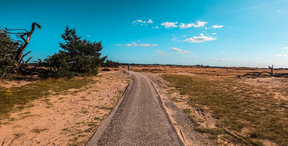 Nationaal Park de Hoge veluwe 3 - Nationaal Park De Hoge Veluwe: een echt fietsparadijs