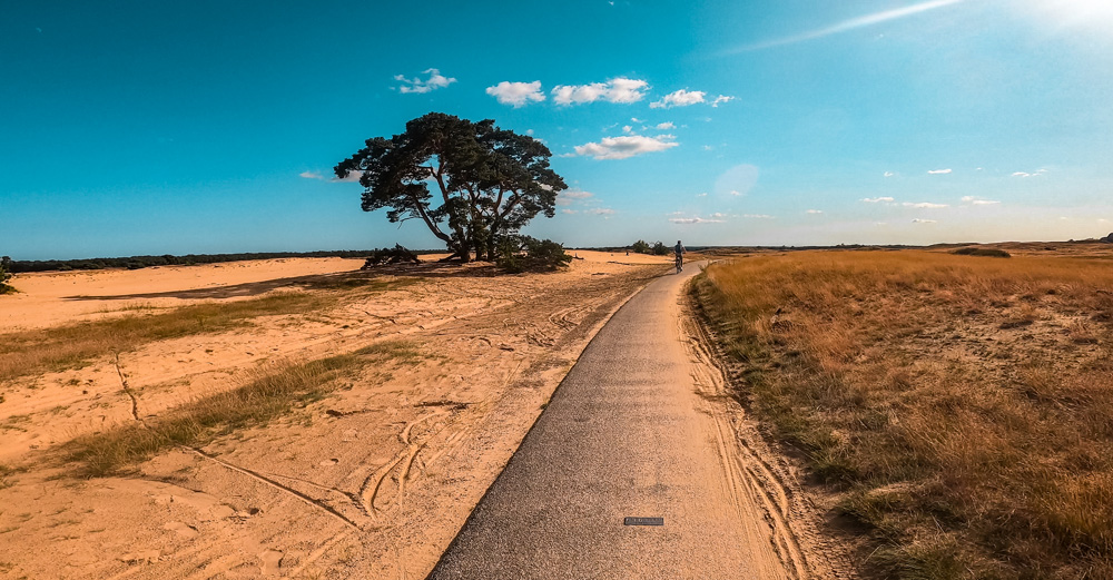 Nationaal park de hoge veluwe