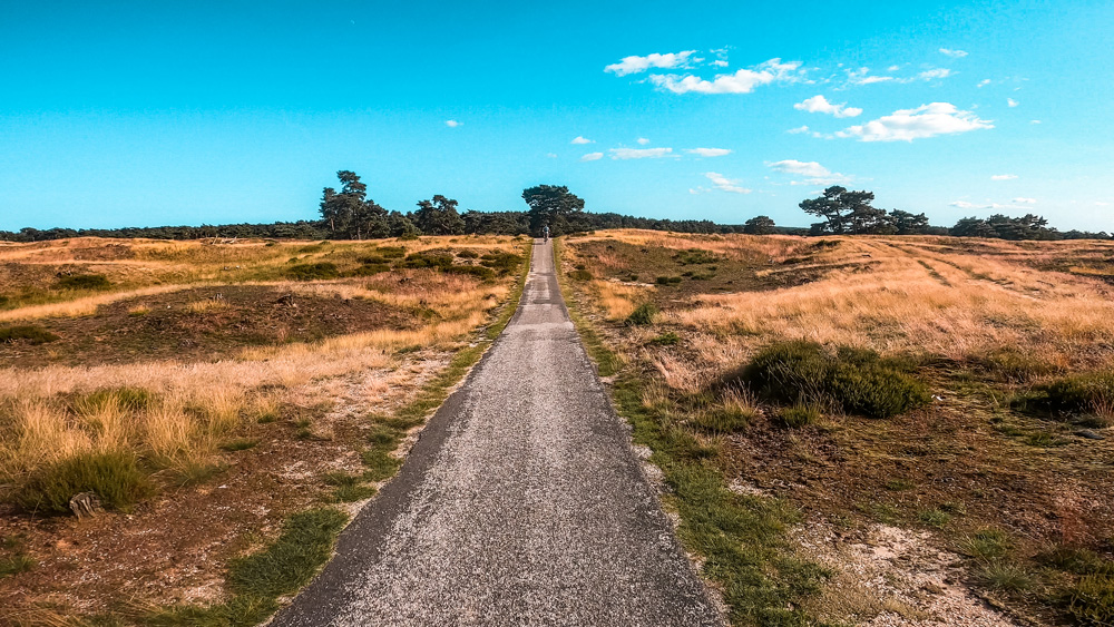 Nationaal park de hoge veluwe