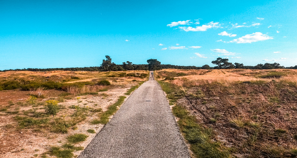 Nationaal Park de Hoge veluwe 6 - Nationaal Park De Hoge Veluwe: een echt fietsparadijs