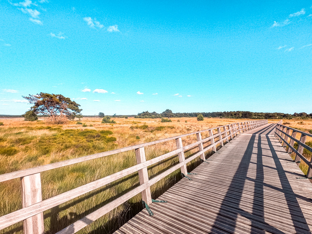 Nationaal Park de Hoge veluwe 7 - Nationaal Park De Hoge Veluwe: een echt fietsparadijs