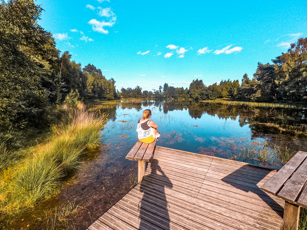 Nationaal Park de Hoge veluwe bezienswaardigheden 2 - Nationaal Park De Hoge Veluwe: een echt fietsparadijs