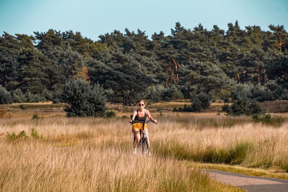 Nationaal park de hoge veluwe fietsen