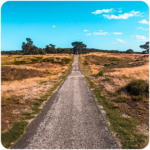 Nationaal Park de Hoge veluwe