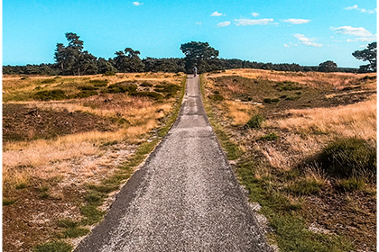 Nationaal Park de Hoge veluwe