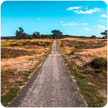 Nationaal Park de Hoge veluwe