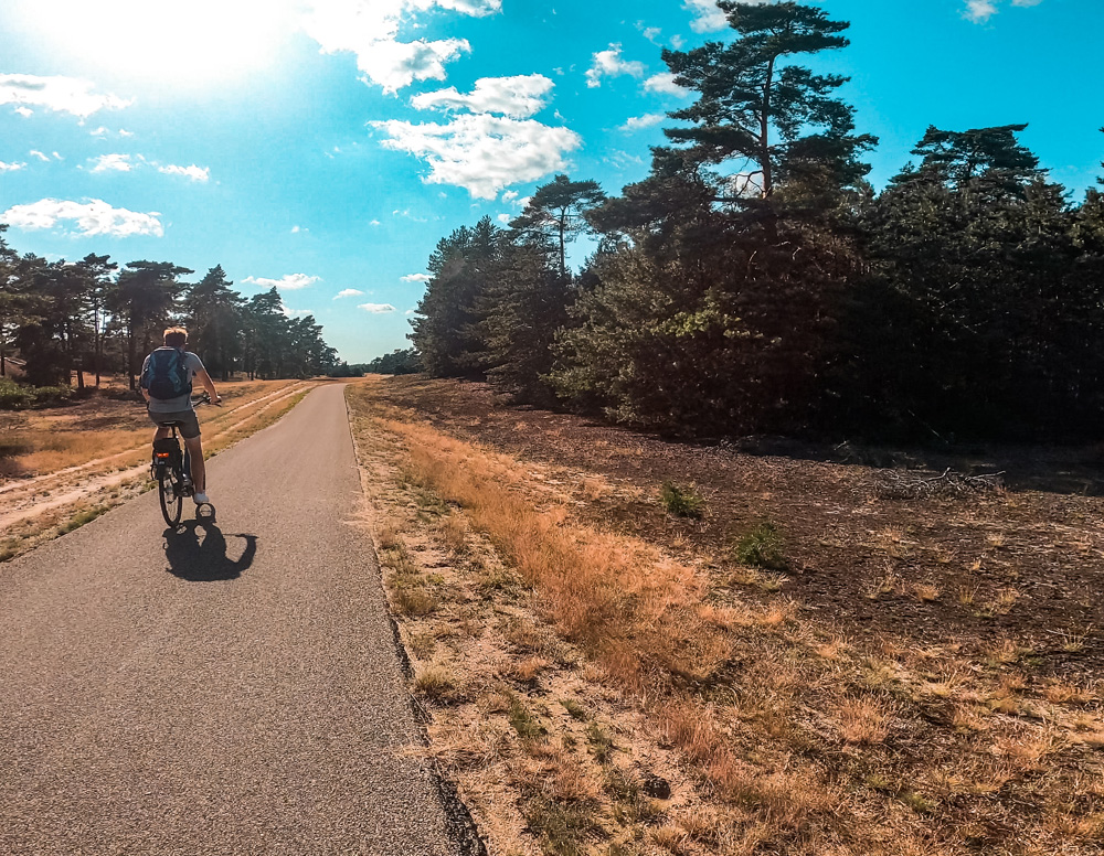 Nationaal Park de Hoge veluwe - Nationaal Park De Hoge Veluwe: een echt fietsparadijs