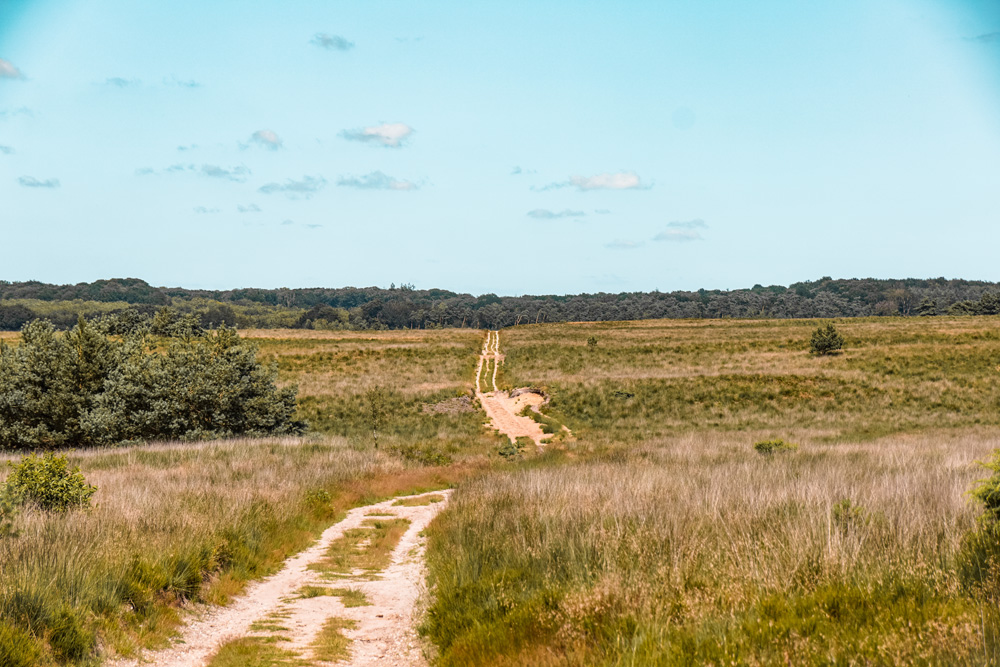 bezienswaardigheden tips Apeldoorn Radio Kootwijk wandeling 2jpg - Wat te doen in Apeldoorn en omgeving