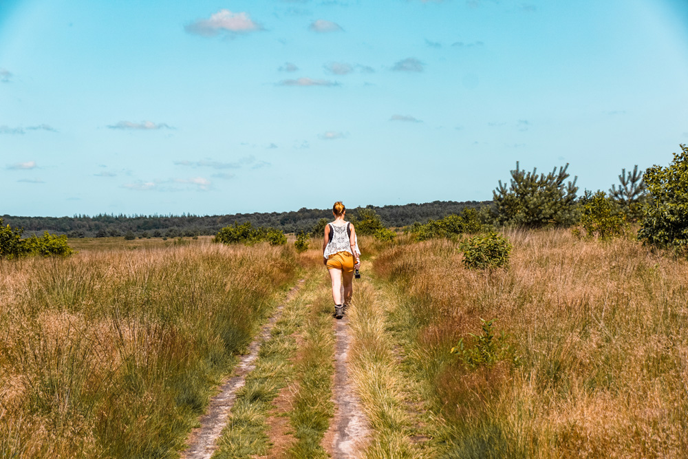 bezienswaardigheden tips Apeldoorn Radio Kootwijk wandeling - Wat te doen in Apeldoorn en omgeving