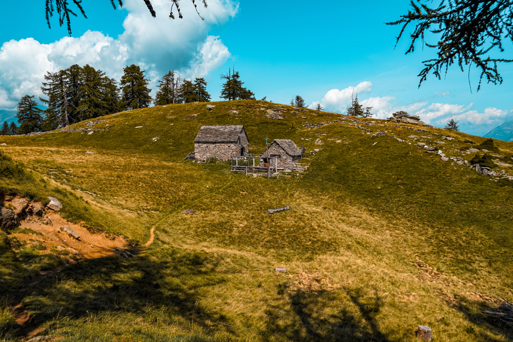 Hiking routes Ortameer Lago Maggiore: Alpe Colmine