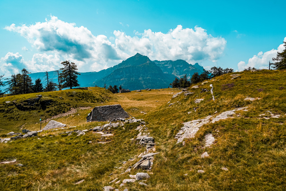 Hiking routes Ortameer Lago Maggiore: Alpe Colmine