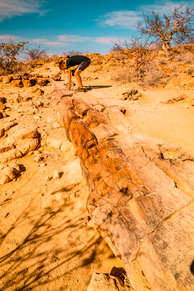 Namibie bezienswaardigheden Damaraland 4 - Reisroute: langs de bezienswaardigheden van Namibië