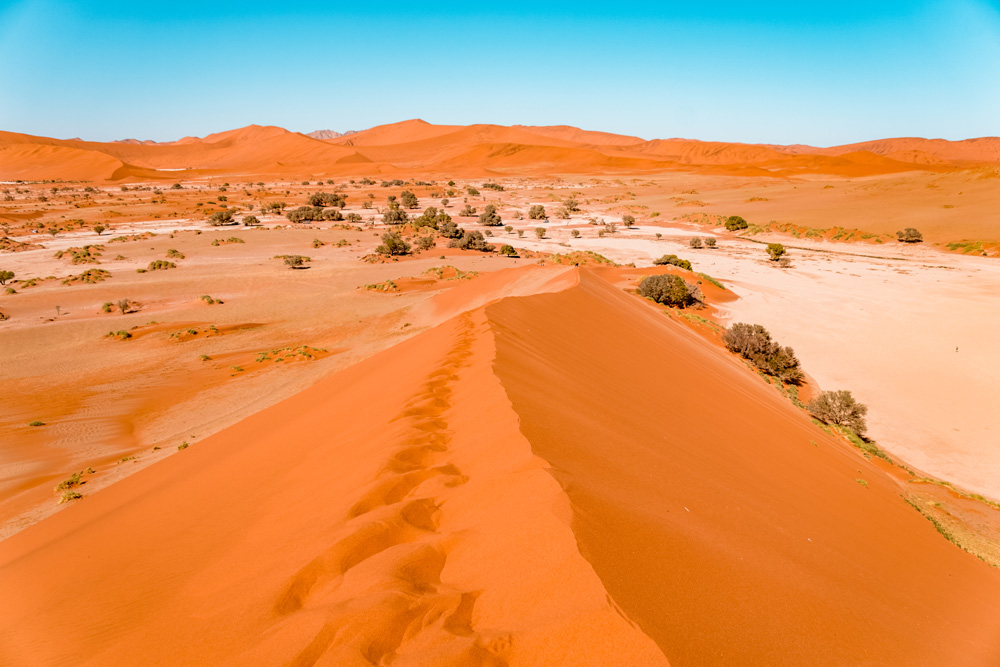 Namibie bezienswaardigheden Sossusvlei