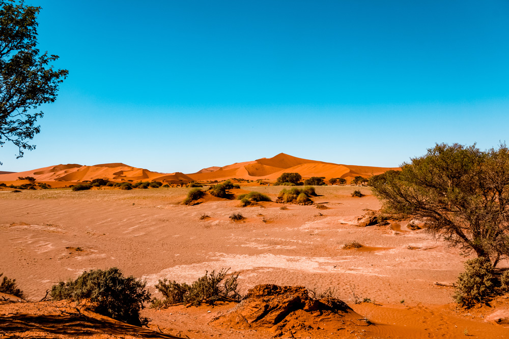 Namibie bezienswaardigheden Sossusvlei