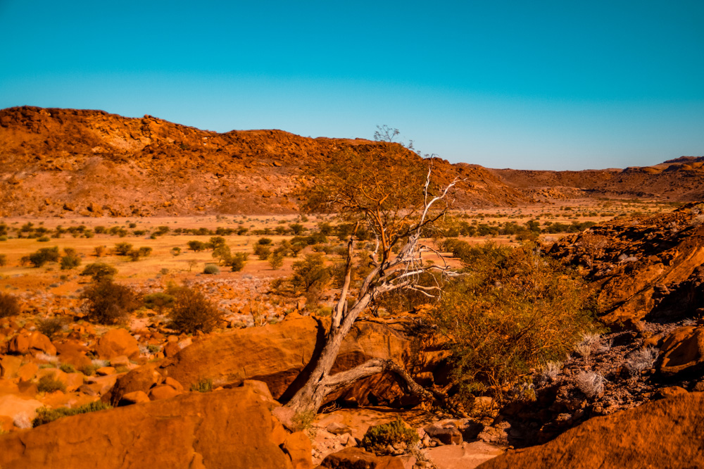 Namibie bezienswaardigheden Damaraland Twyfelfontein