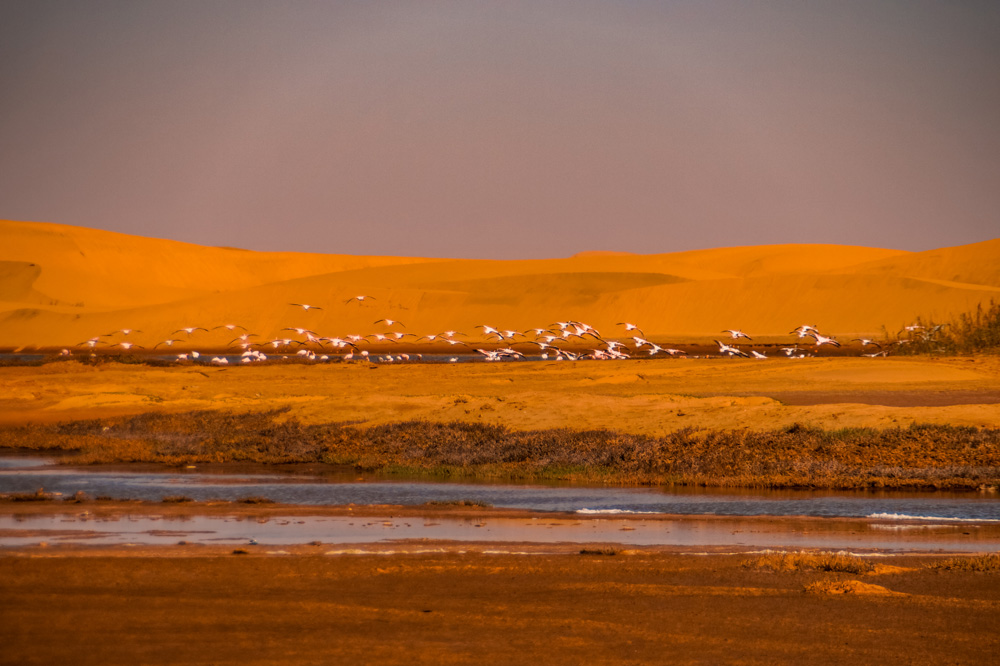 Namibie reisroute - Reisroute: langs de bezienswaardigheden van Namibië