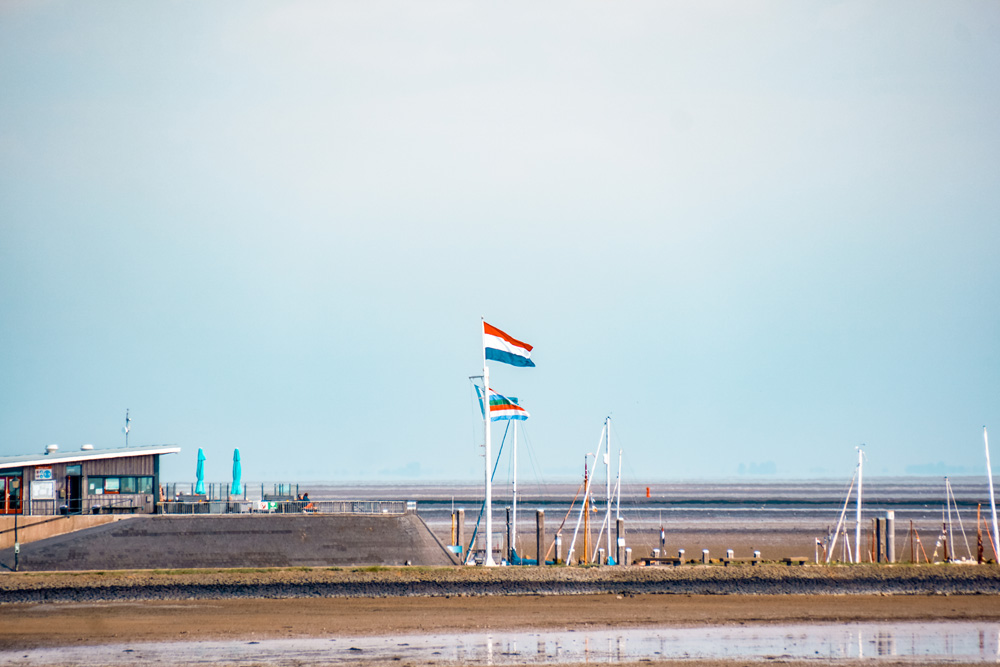 Schiermonnikoog 4 - Alles wat je wilt weten over Schiermonnikoog