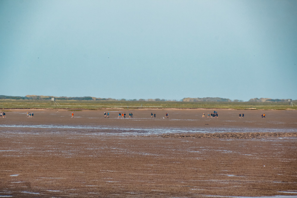 UNESCO Werelderfgoedlijst Waddeneilanden - Alles wat je wilt weten over Schiermonnikoog