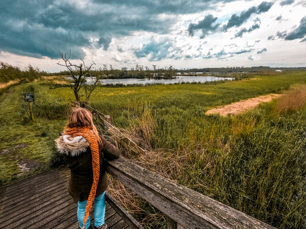 Nationaal Park Alde Feanen 11 - Wandelroute Friesland: Nationaal Park Alde Feanen