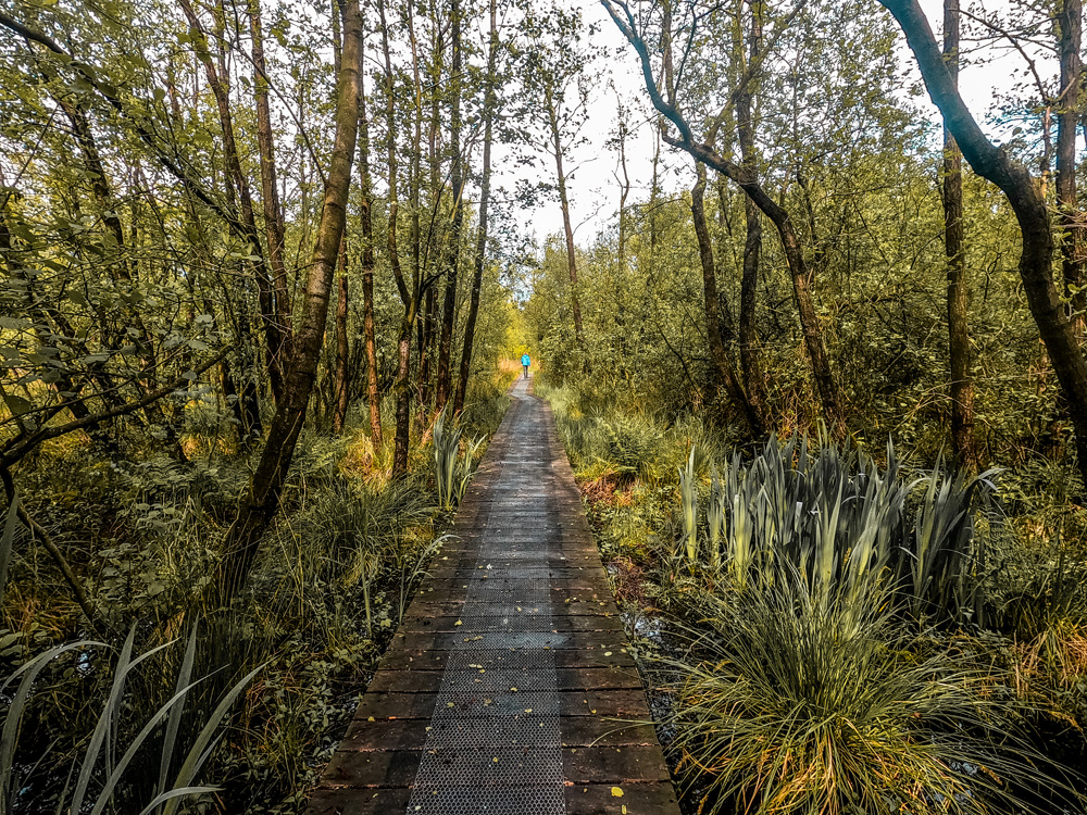 Wandelroute Nationaal Park Alde Feanen