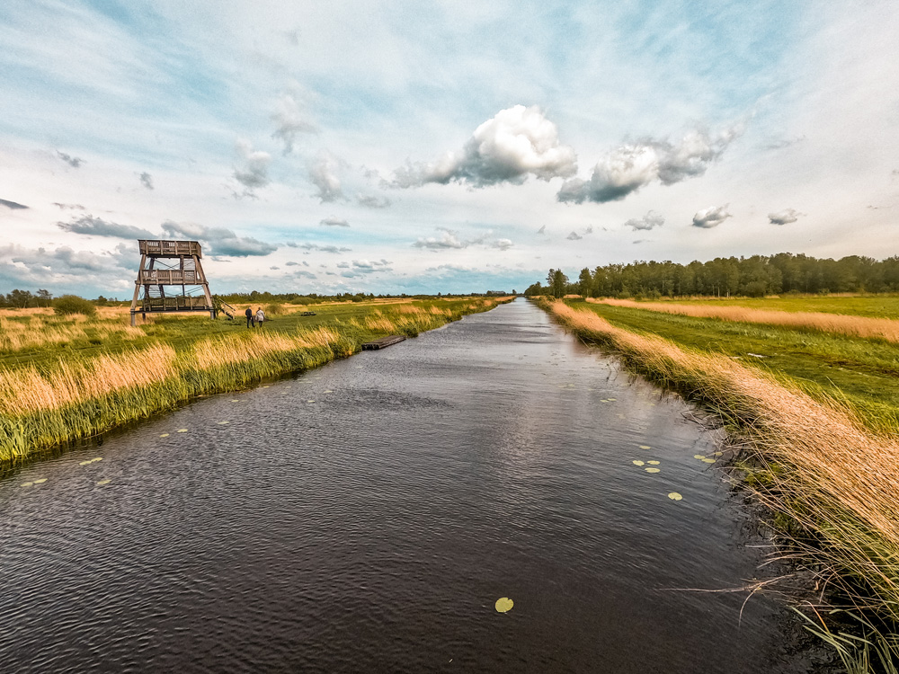 Nationaal Park Alde Feanen 14 - Wandelroute Friesland: Nationaal Park Alde Feanen