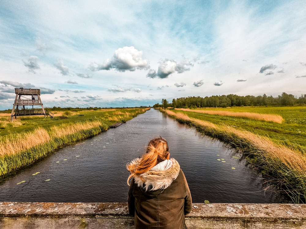 Nationaal Park Alde Feanen 15 - Wandelroute Friesland: Nationaal Park Alde Feanen