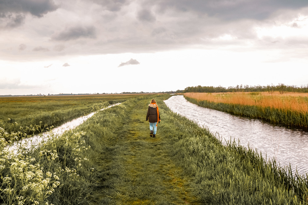 Nationaal Park Alde Feanen 2 - Wandelroute Friesland: Nationaal Park Alde Feanen