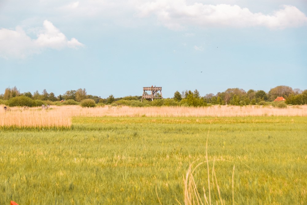 Nationaal Park Alde Feanen 7 - Wandelroute Friesland: Nationaal Park Alde Feanen