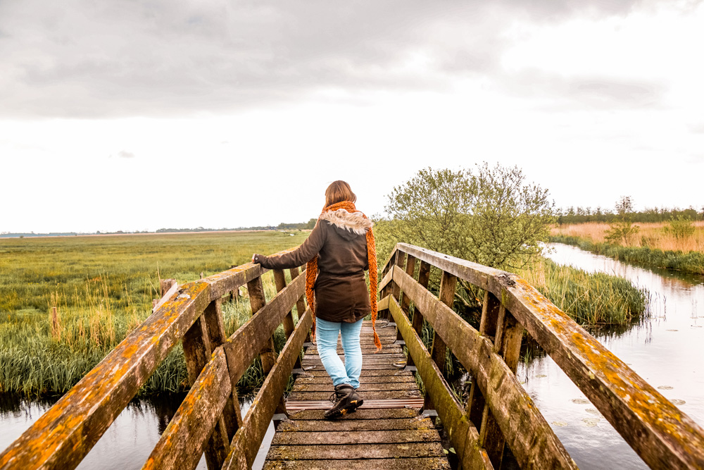 Wandelroute Nationaal Park Alde Feanen