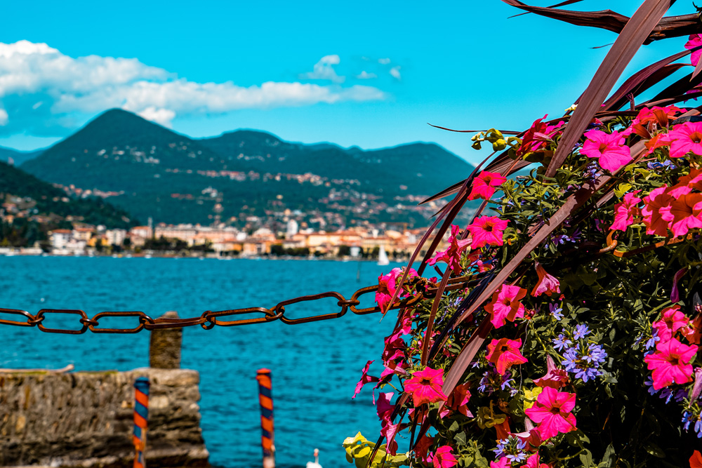 Ortameer Lago Maggiore