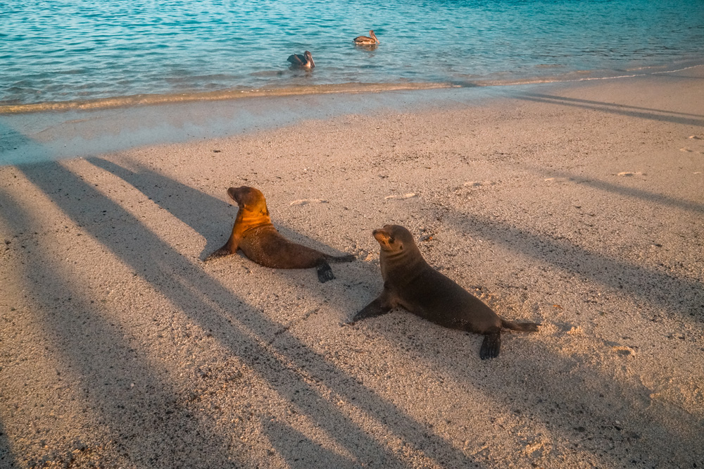 UNESCO Werelderfgoedlijst Galapagos