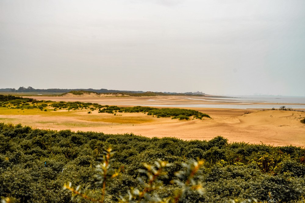 vriendenweekend activiteit cadzand elektrische golfkar