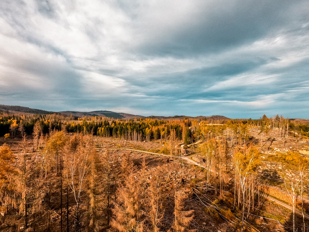 Wernigerode & Harz tips + bezienswaardigheden